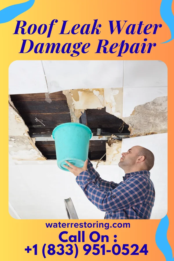 Roof Leak Water Damage Repair in Ralston, IA