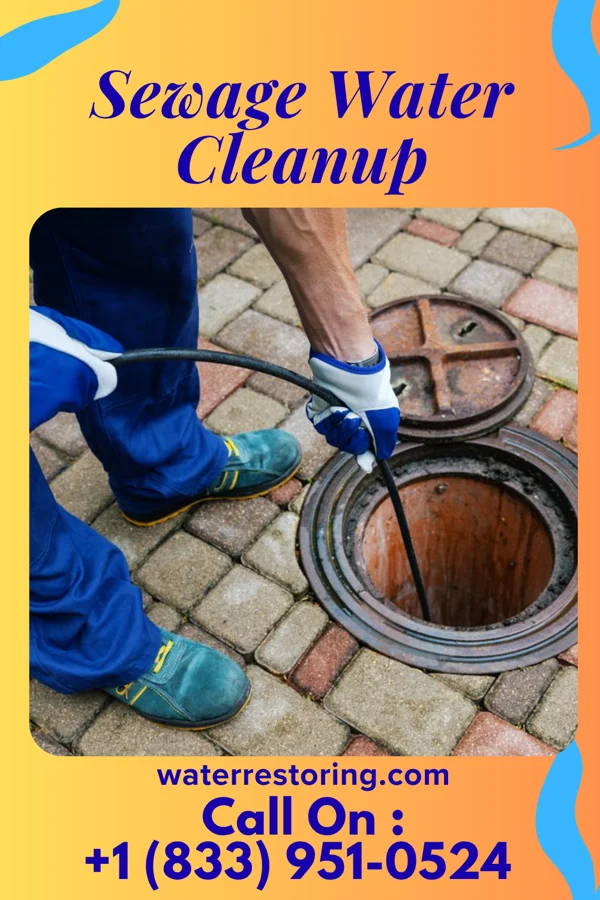 Sewage Water Cleanup in Ralston, IA